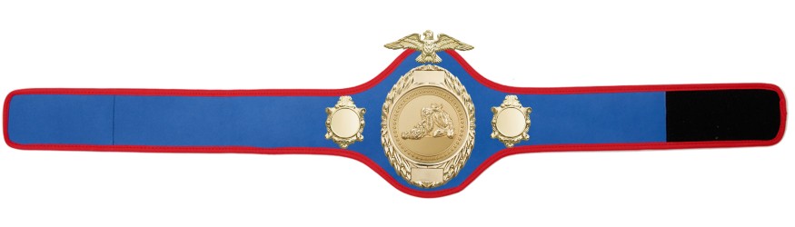 JIU JITSU CHAMPIONSHIP BELT-PRO288/G/JJG - 10 COLOURS JIU JITSU CHAMPIONSHIP BELT-PRO288/G/JJG - 10 COLOURS